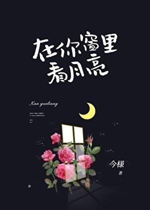 在你窗里看月明
