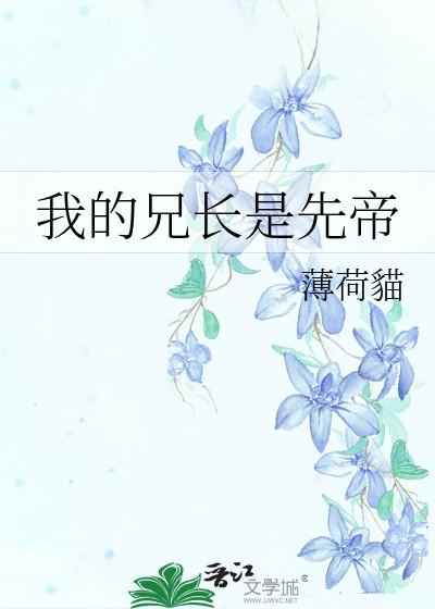 我的兄长是先帝