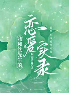 我和沈先生的恋爱实录