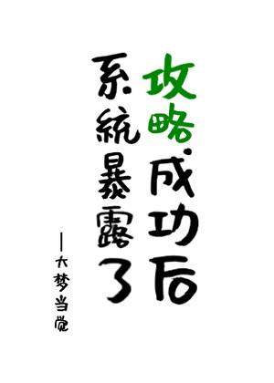 攻略成功后，系统暴露了