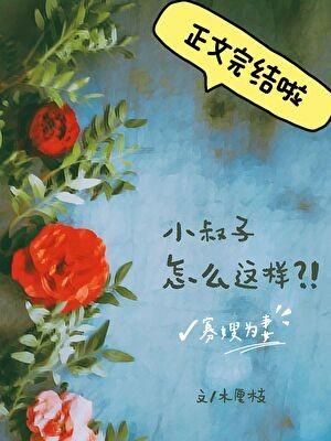 寡嫂为妻