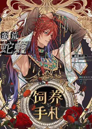 贵妃起居注讲的什么