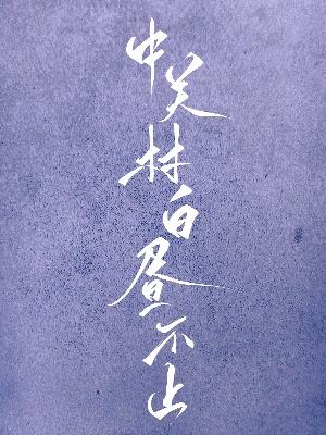 中关村白昼不止