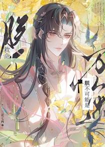 恰与梨花同梦讲的什么