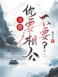 偷风不偷月免费读