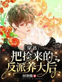 偷风不偷月讲的什么