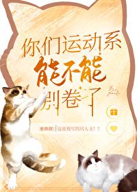 分手大师