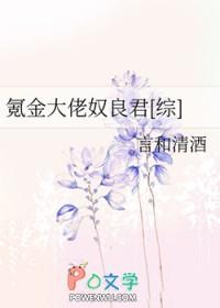 成了状元郎的小妾寻真