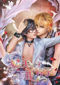 《姐夫我有了》