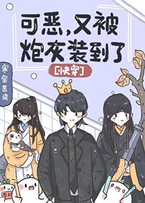 结婚而已电视剧