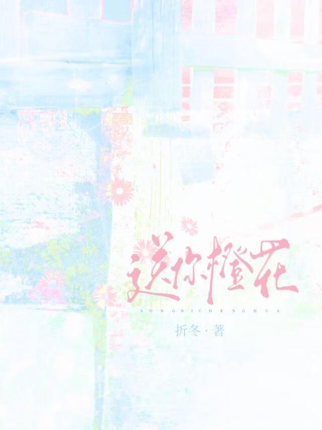 婚途似锦无防盗